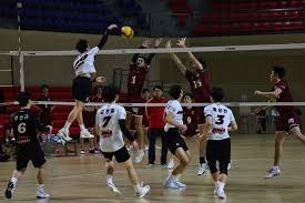 详解职业棒球手套各位置的皮革差异